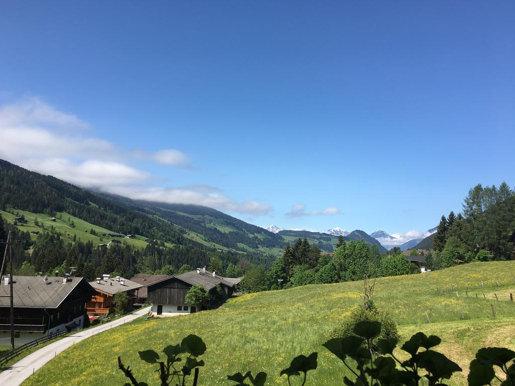 Appartement Hinter-Grundler Alpbach Luaran gambar